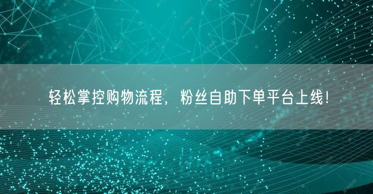 轻松掌控购物流程，粉丝自助下单平台上线！