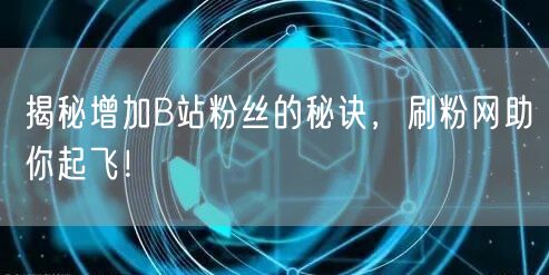 揭秘增加B站粉丝的秘诀，刷粉网助你起飞！