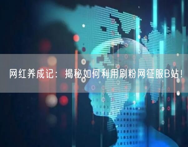 网红养成记：揭秘如何利用刷粉网征服B站！