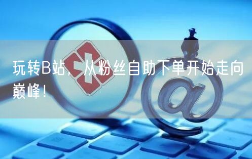 玩转B站，从粉丝自助下单开始走向巅峰！
