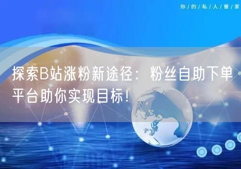探索B站涨粉新途径：粉丝自助下单平台助你