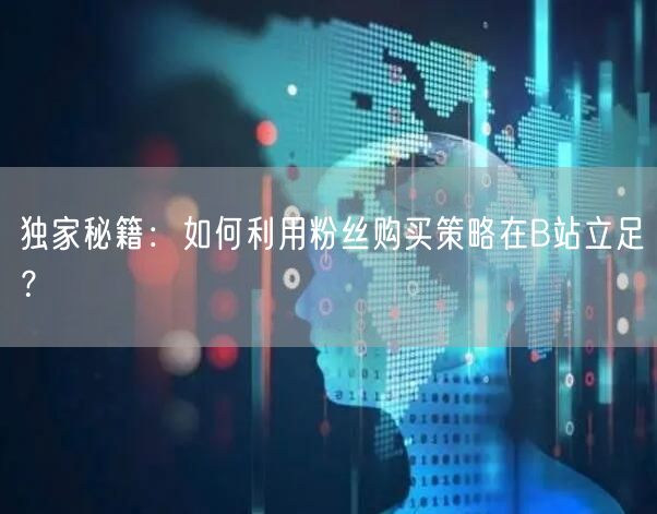独家秘籍：如何利用粉丝购买策略在B站立足
