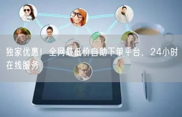 独家优惠！全网最低价自助下单平台，24小时在线服务
