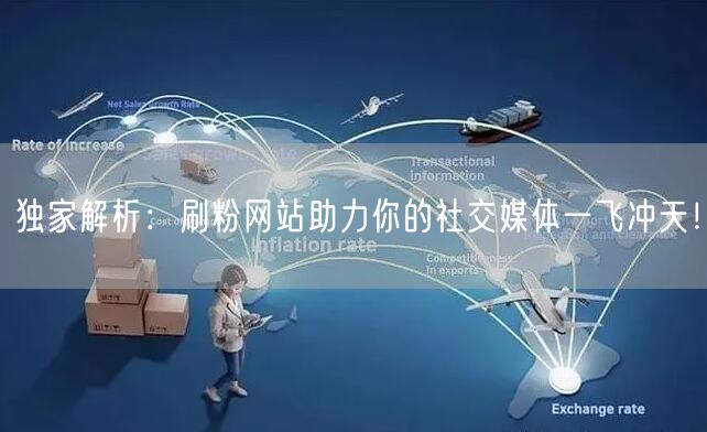 独家解析：刷粉网站助力你的社交媒体一飞冲天！