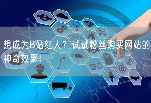 想成为B站红人？试试粉丝购买网站的神奇效果！