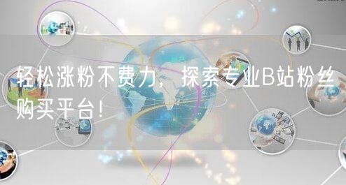 轻松涨粉不费力，探索专业B站粉丝购买平台！