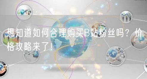 想知道如何合理购买B站粉丝吗？价格攻略来了！