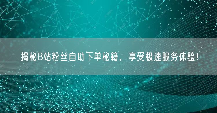 揭秘B站粉丝自助下单秘籍，享受极速服务体验！